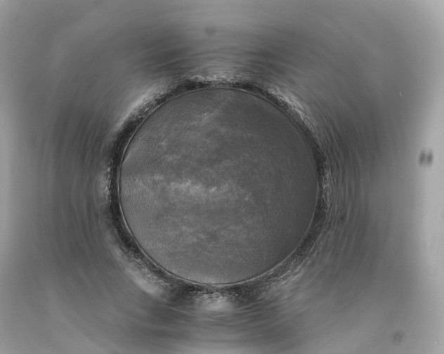 X0000091480735200709061839