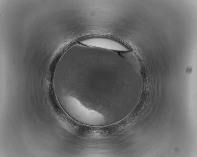 X0000091480736200709061839