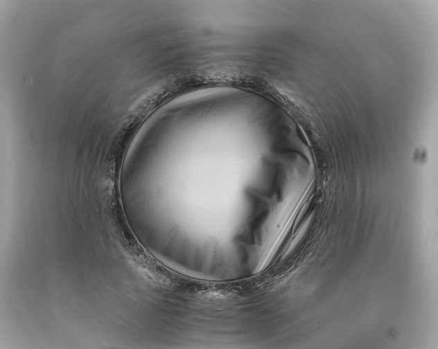 X0000091480737200709061839