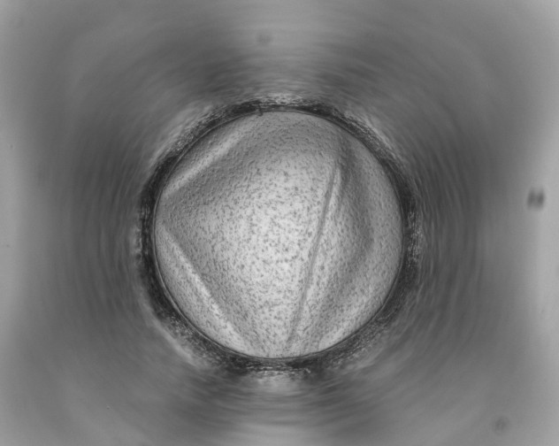 X0000091480738200709061839