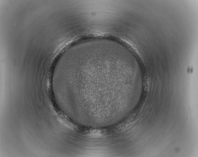 X0000091480740200709061839