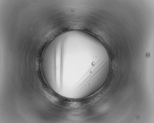 X0000091480741200709061839