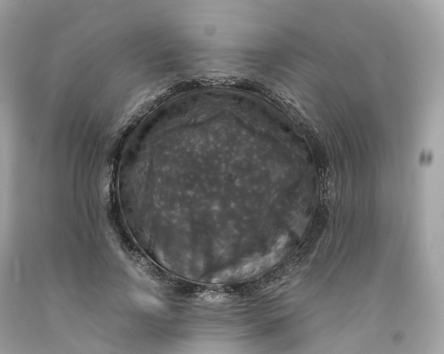 X0000091480742200709061839