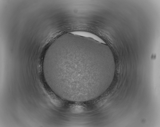 X0000091480743200709061839