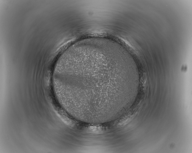 X0000091480744200709061839