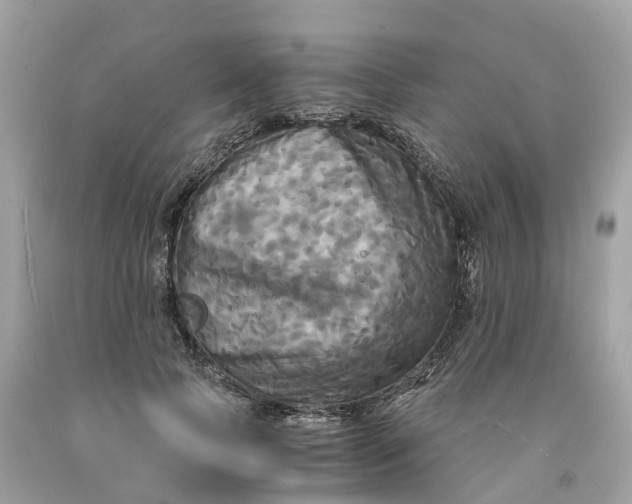 X0000091480745200709061839