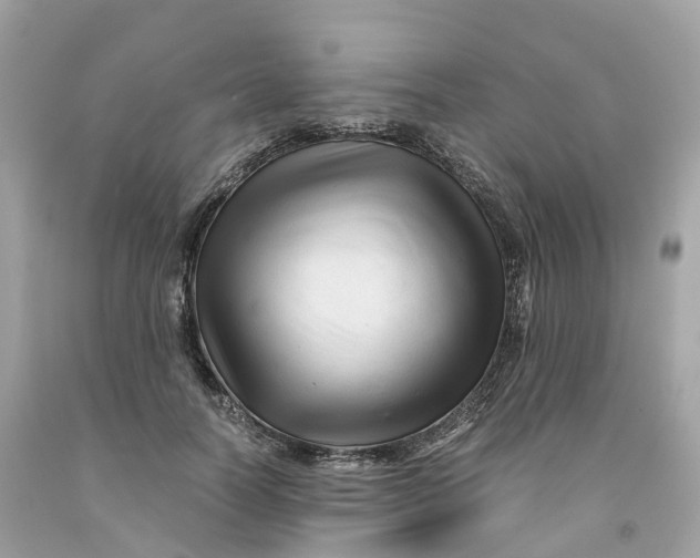 X0000091480746200709061839