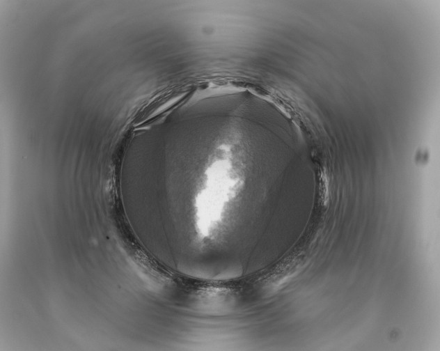 X0000091480748200709061839