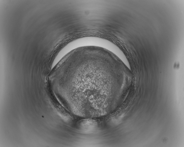 X0000091480750200709061839