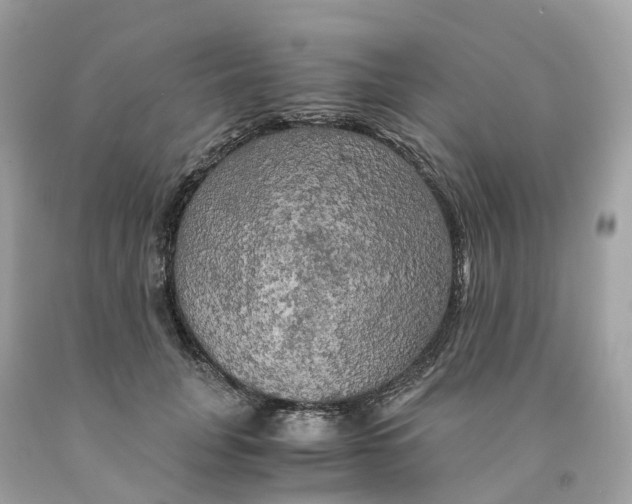 X0000091480751200709061839