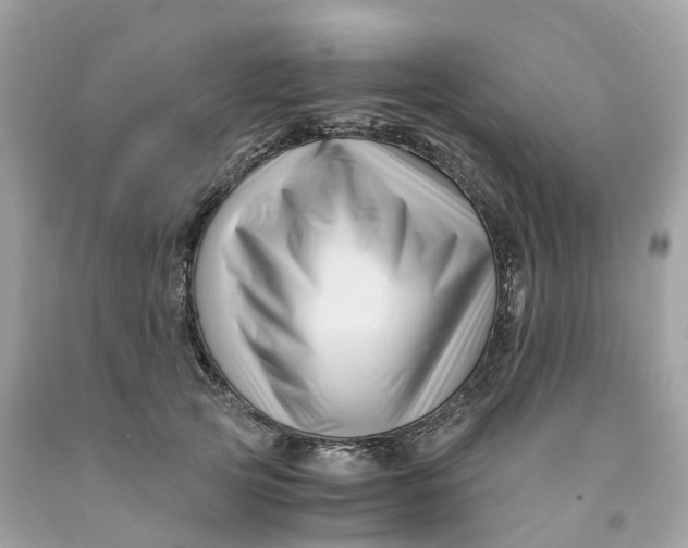 X0000091480753200709061839