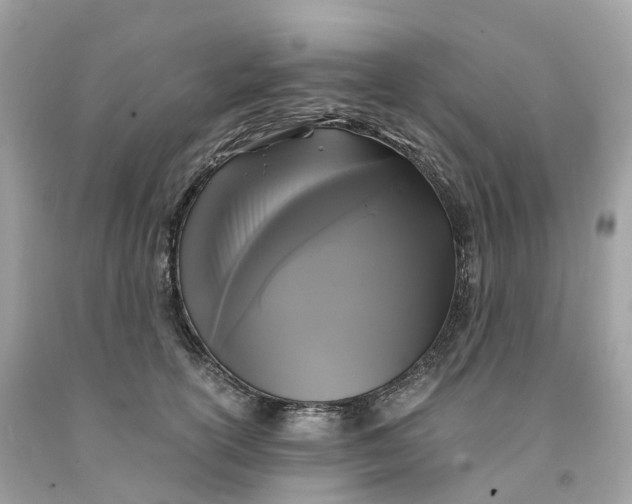 X0000091480754200709061839