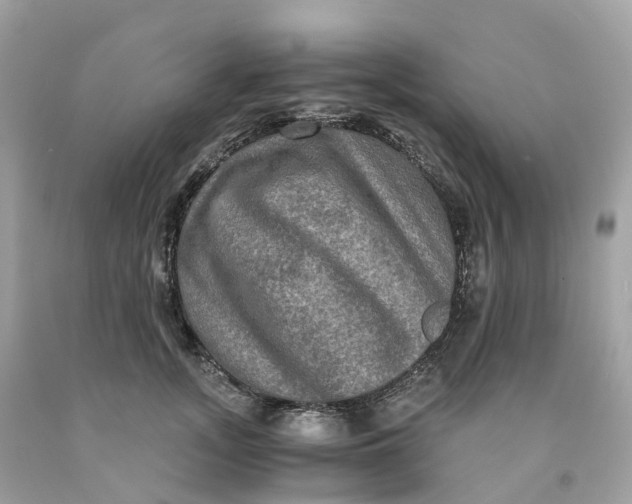 X0000091480755200709061839