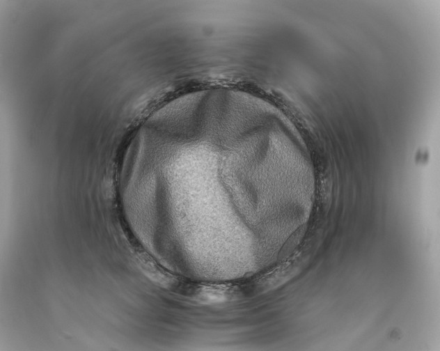 X0000091480757200709061839