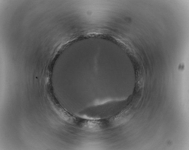 X0000091480758200709061839