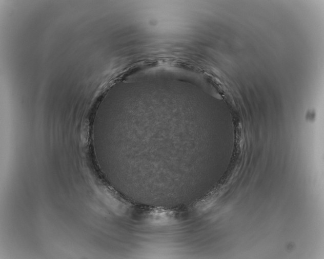 X0000091480760200709061839