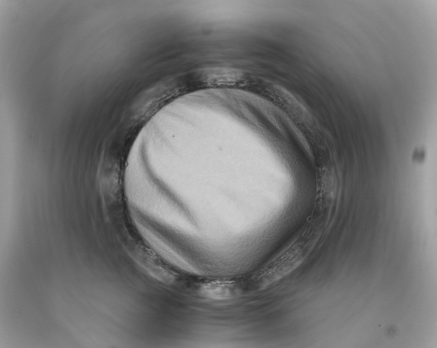 X0000091480761200709061839