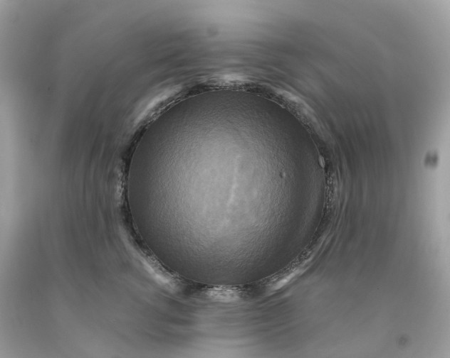 X0000091480762200709061839