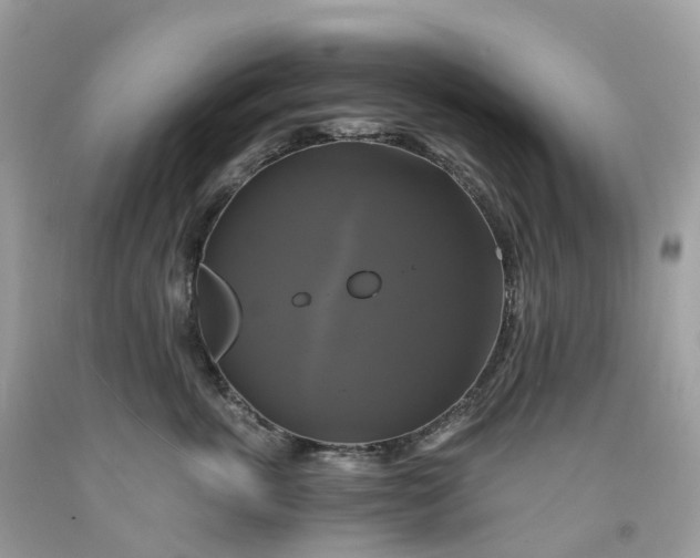 X0000091480763200709061839