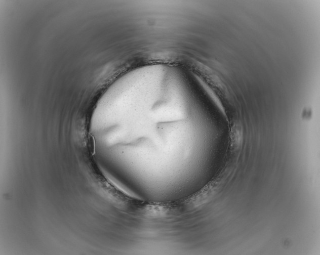 X0000091480764200709061839