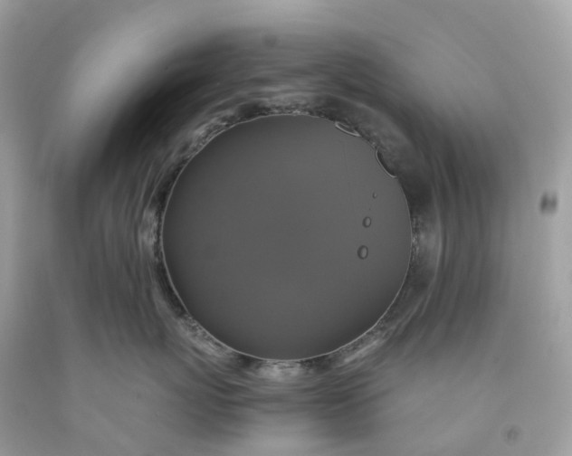 X0000091480767200709061839