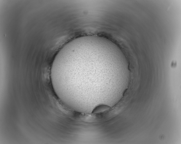 X0000091480768200709061839