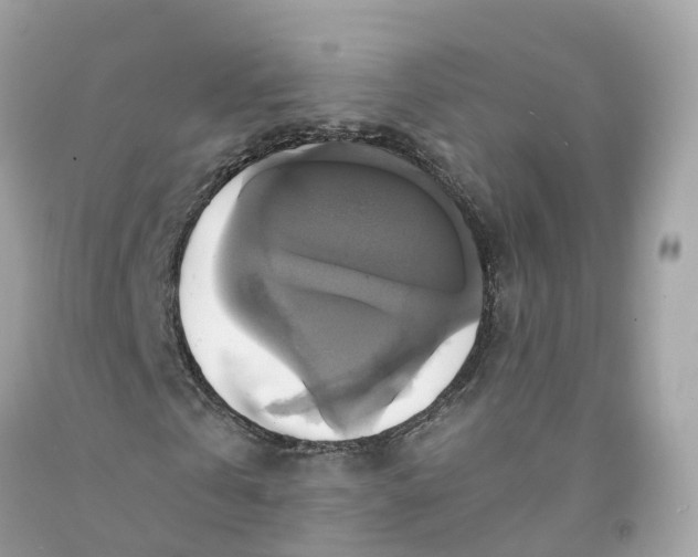 X0000091480769200709061838