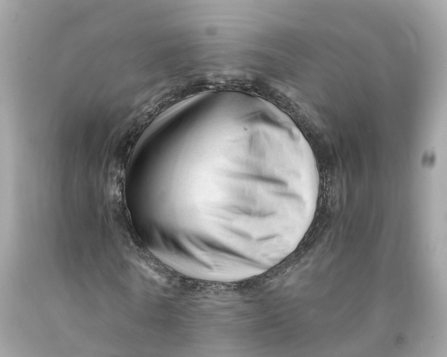 X0000091480770200709061838