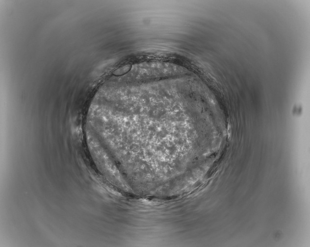 X0000091480771200709061838