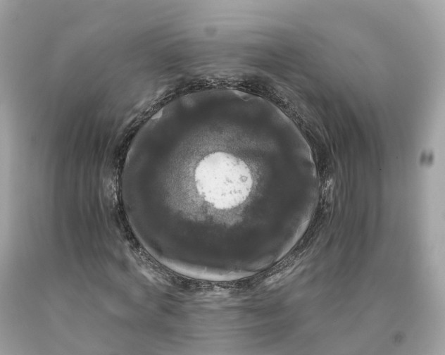 X0000091480772200709061838