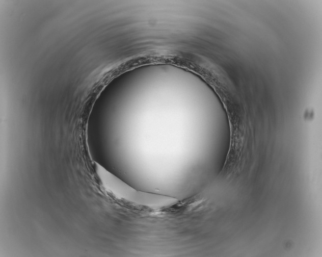 X0000091480773200709061838