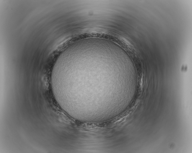 X0000091480774200709061838