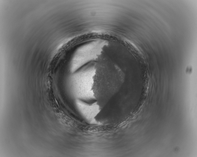 X0000091480776200709061838