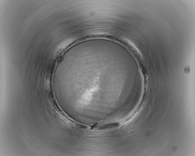 X0000091480777200709061838