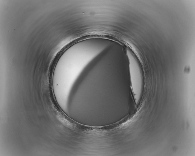 X0000091480779200709061838