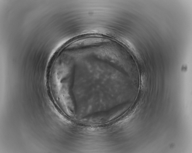 X0000091480780200709061838