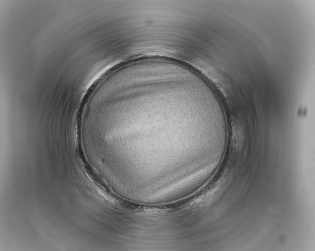 X0000091480782200709061838