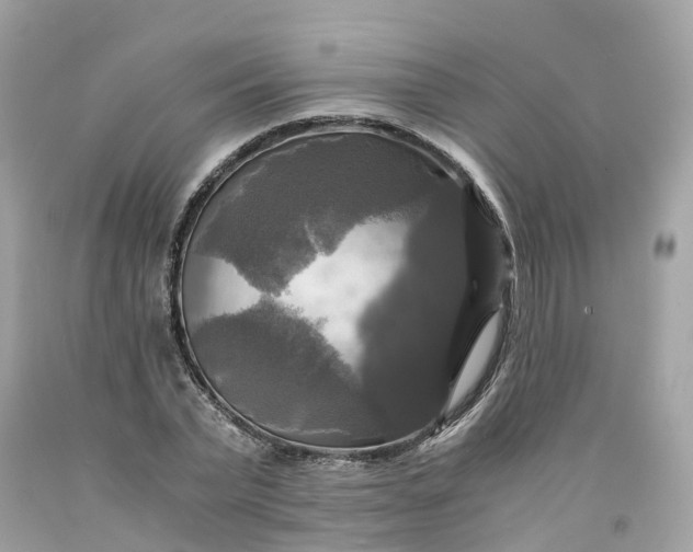 X0000091480783200709061838