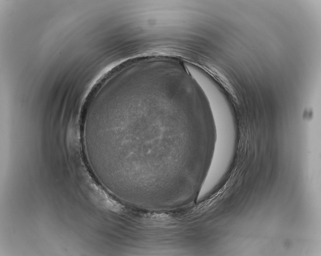 X0000091480784200709061838