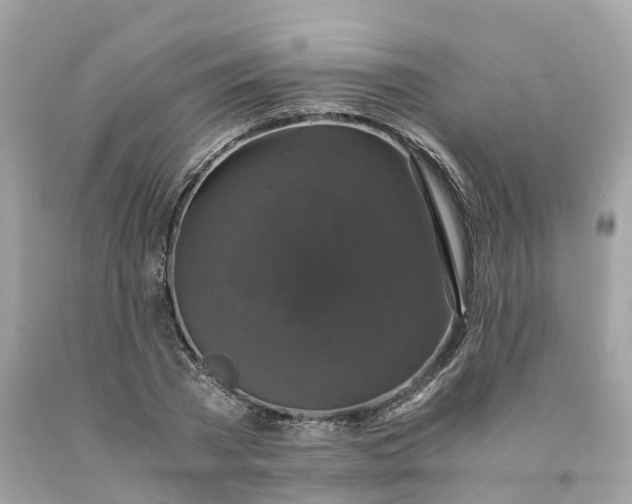 X0000091480785200709061838