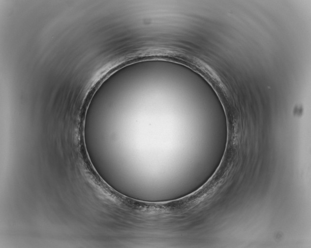 X0000091480786200709061838