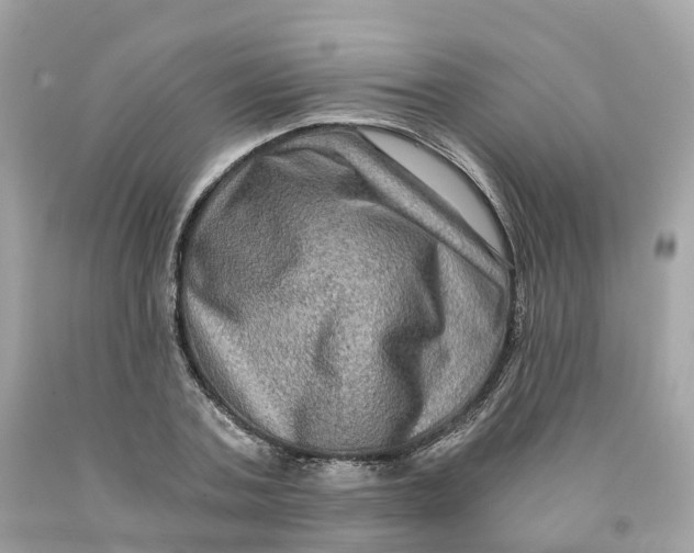 X0000091480787200709061838