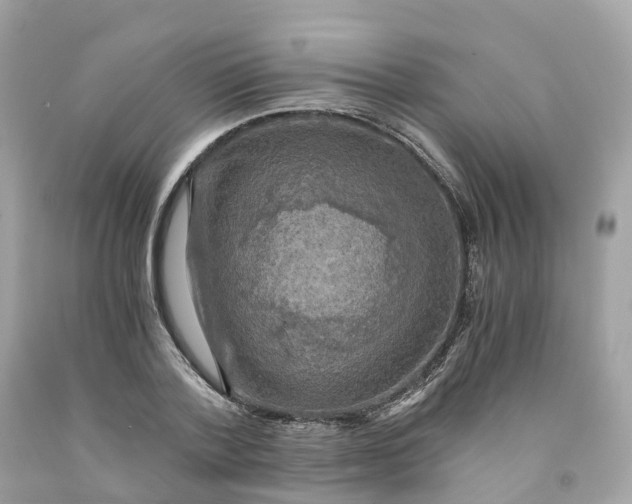 X0000091480788200709061838