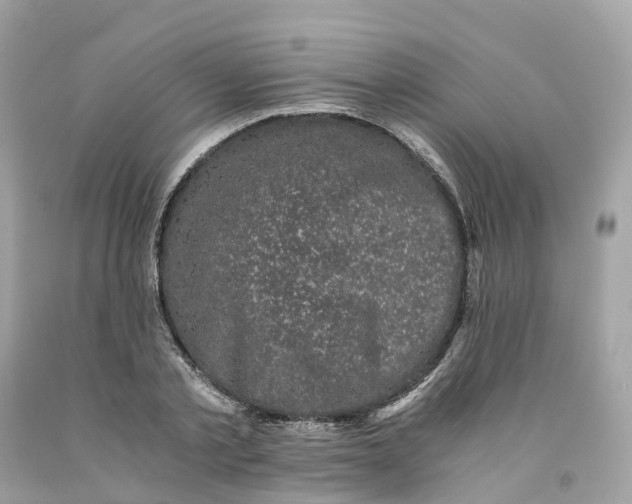 X0000091480789200709061838