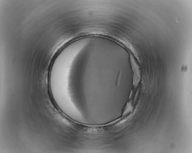 X0000091480790200709061838