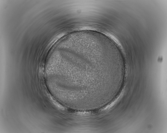 X0000091480793200709061838