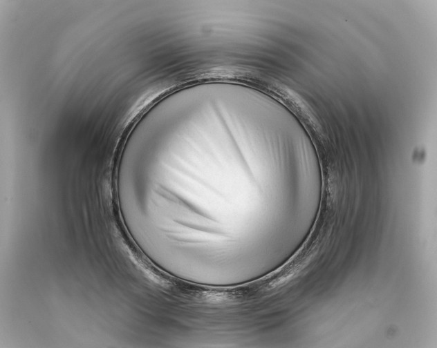 X0000091480794200709061838