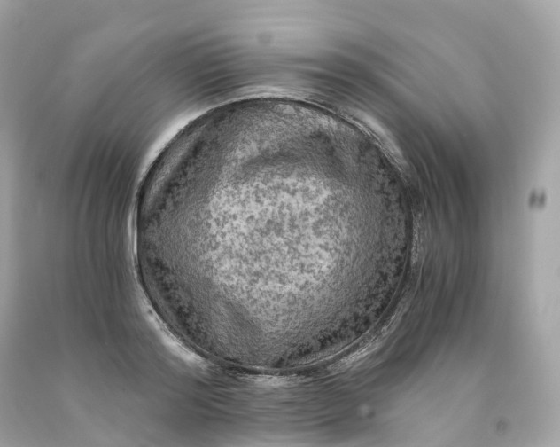 X0000091480796200709061838