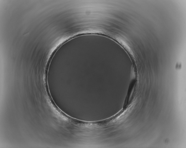 X0000091480797200709061838