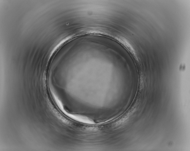 X0000091480798200709061838